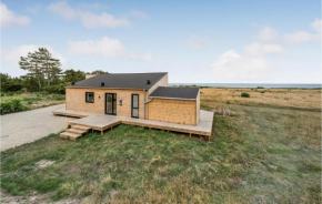 Nice Home In Skjern With Wifi